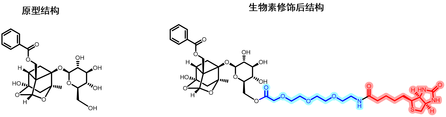 芍药苷.png