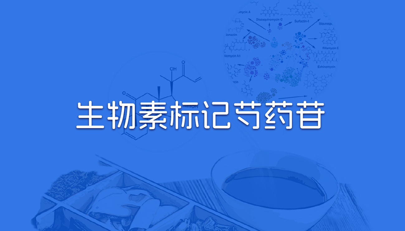 生物素标记芍药苷.jpg