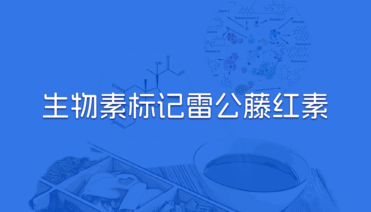 生物素标记雷公藤红素.jpg