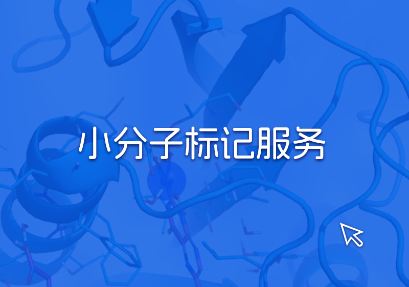 小分子标记服务(1).jpg