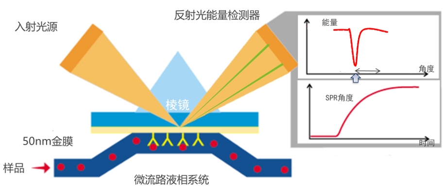 微信截图_20250429111146.png
