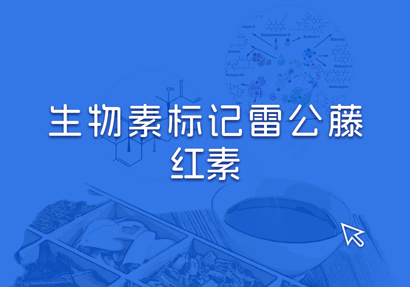 生物素标记雷公藤红素(3).jpg