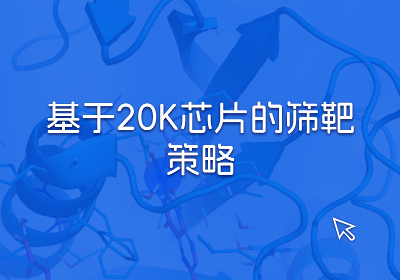 20K芯片(2).jpg